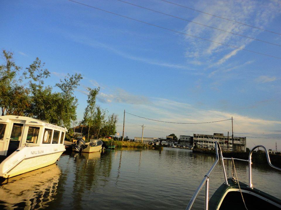 PLIMBARI IN DELTA  - 943571.jpg